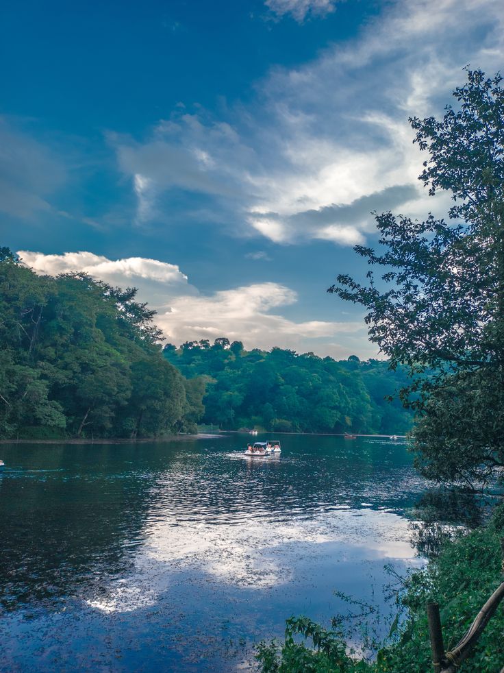 Pookode Lake – freshwater lake surrounded by evergreen forests in Wayanad